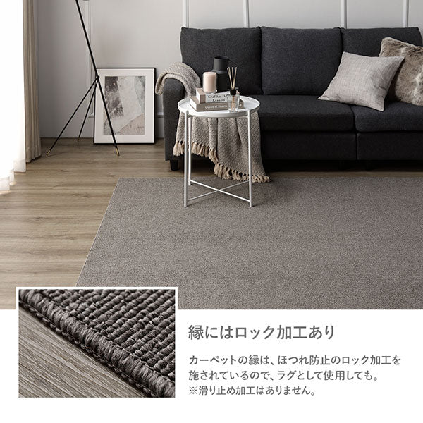 フリーカット 平織カーペット 抗菌防臭 防炎 グレー - Image 13