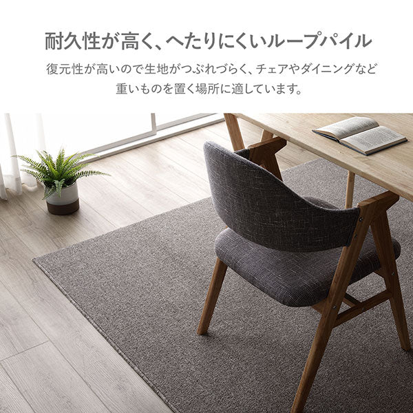 フリーカット 平織カーペット 抗菌防臭 防炎 ベージュ - Image 7
