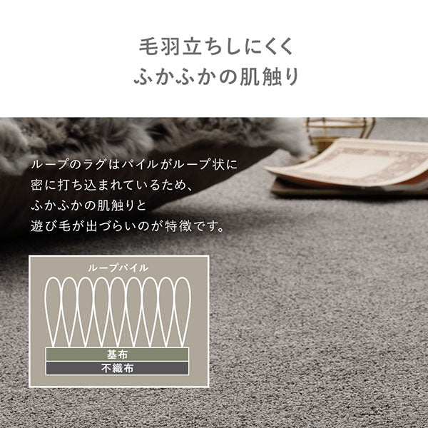 フリーカット 平織カーペット 抗菌防臭 防炎 ベージュ - Image 8