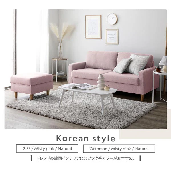 2.5人掛け 洗える着替えソファ『＆NAME アンドネーム』ダスティブルー - Image 24
