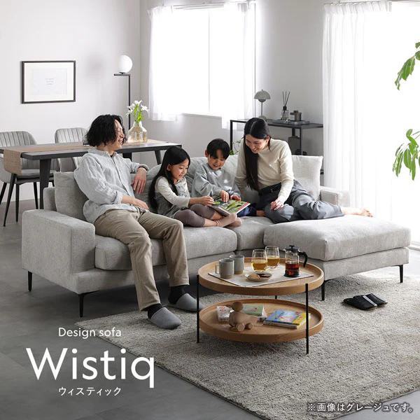 デザインソファ 『Wistiq ウィスティック』 4人掛けソファ単品 チャコールブラウン - Image 5